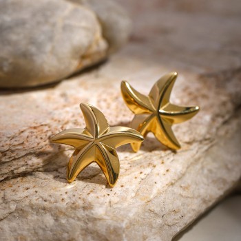 Ocean Star Titanium Steel Earrings 